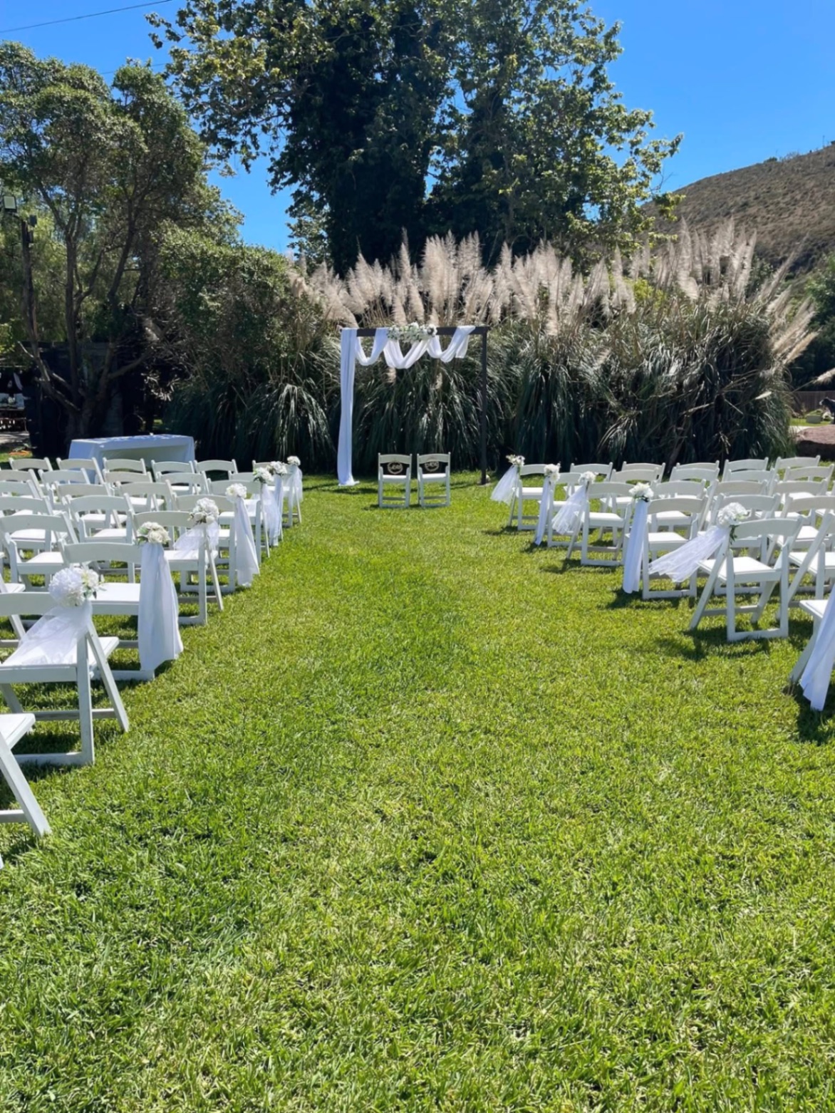 Bodas